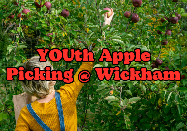 1030 Youth Apple WEAGR - Slide (806 x 564 px) (1)